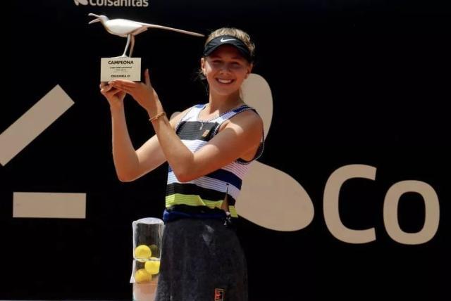 指定打击 指定打击